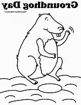 Coloring Groundhog Printable Pages Popular Library Clipart sketch template
