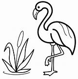 Coloriage Flamant Dessin Pres Lac Ausmalbilder Imprimer Flamingos sketch template