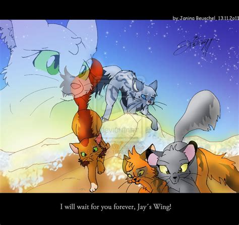 83 Best Images About Favorite Warrior Cats On Pinterest