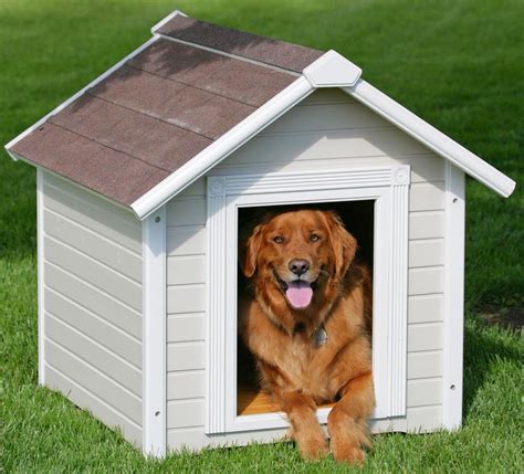 beagle dog house plans