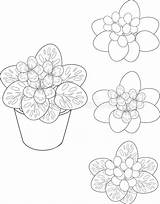 Pot Coloring Flower Colour Plant Preview sketch template