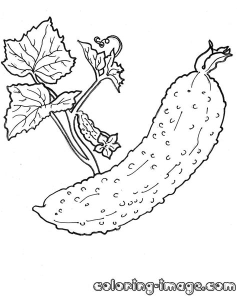 cucumber coloring pages