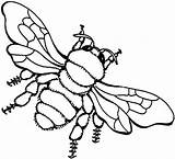 Bee Coloring Pages Honey Drawing Bees Printable Supercoloring Locust Color Clipart Super Honeybee Printables Clipartbest Getdrawings Sheet Outline sketch template