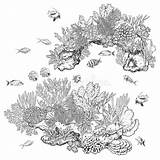 Reef Pesci Scogliera Coralli Corals Fishes Illustrazione Fiskar Colony Bello Animali Siluetta Modello Illustrationer sketch template