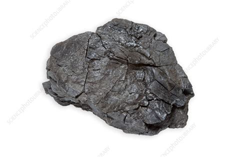 lignite coal specimen stock image  science photo library