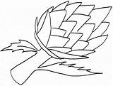 Artichoke Coloring Simple Pages Coloringbay sketch template