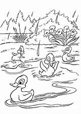 Bamby Duck Ducks Tulamama šest Bojanke Crtež Gifgratis sketch template