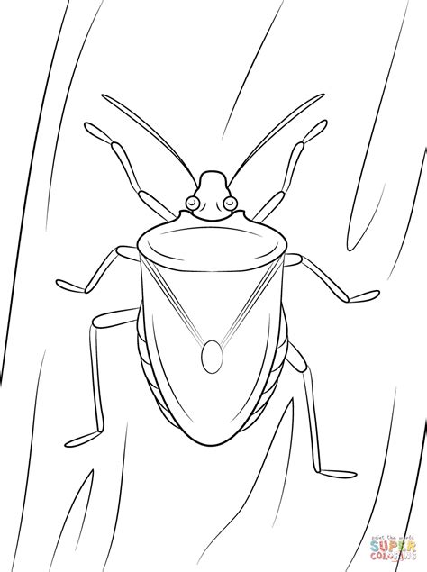 gambar cute cartoon bug coloring page  printable pages brown