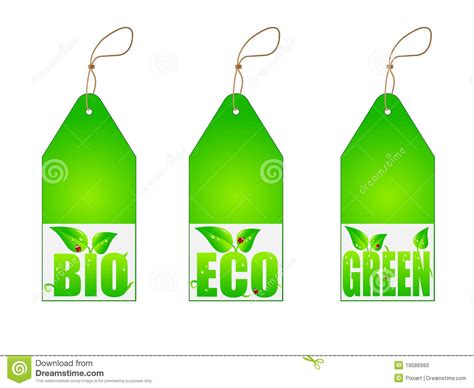 set  green labels stock vector illustration  document