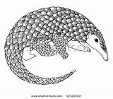 Pangolin Coloring 86kb 394px Pages Template Designlooter sketch template