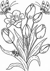 Coloring Pages Butterfly Flowers Embroidery Flower Tulips Drawing Pattern Cool Wecoloringpage sketch template