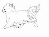 Chihuahua Coloring sketch template
