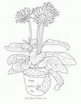 Coloring Daisy Pages Flower Gerber Flowers Colouring Printable Popular Coloringhome sketch template