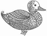Duck Coloring Zentangle Pages Teacherspayteachers Adult Detailed Sheet Animal Farm Patterns Sheets Preview Drawing Drawn sketch template