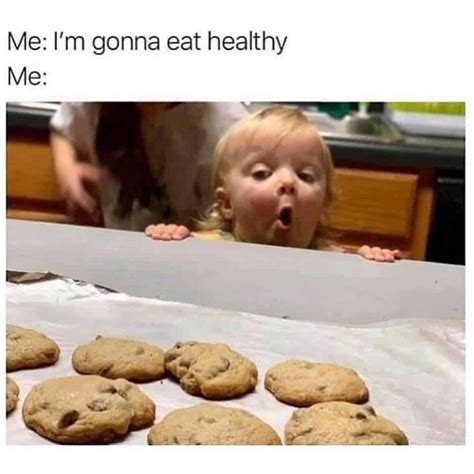 funny life changing eating healthy memes sayingimagescom