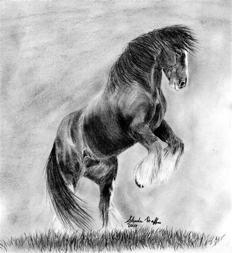 horse drawings art ideas design trends premium psd vector