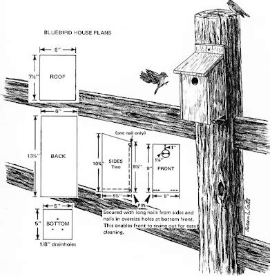 bowen birdhouses bluebird nesting box