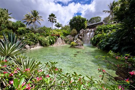 le jardin botanique de deshaies karibbeancars