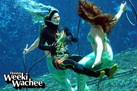 sea witch battles  mermaids   performance