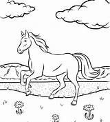 Horse Coloring Galloping Getdrawings Pages sketch template