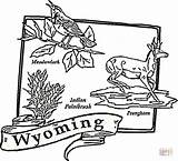 Wyoming Starklx sketch template