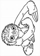 Croods Coloring Pages Kids Coloriage Printable Die Malvorlagen Adults Fun sketch template