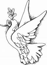 Flying Doves Dove Drawing Getdrawings Coloring sketch template