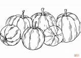 Calabazas Colorear Calabaza Supercoloring Huerto sketch template