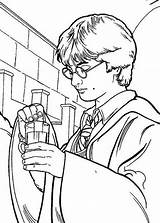 Polyjuice Potion Netart Colouring sketch template