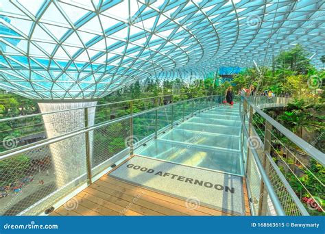 canopy bridge  canopy park  jewel changi airport editorial photo cartoondealercom