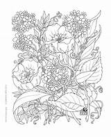 Garden Coloring Secret Pages Enchanted Forest 塗り絵 Book Printable Adult Color Inspirational 大人 細かい Getcolorings いっぱい ぬりえ Colori  Books sketch template