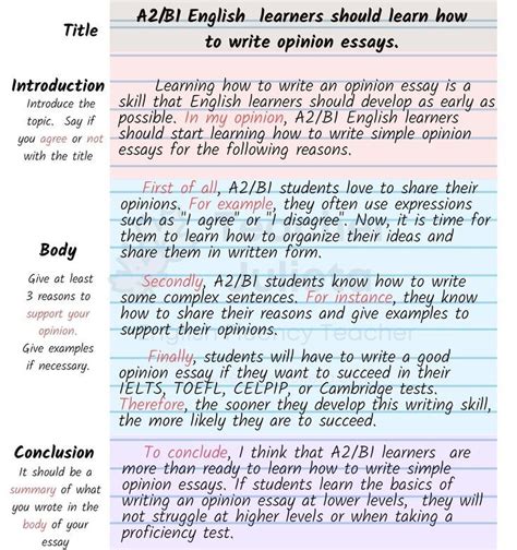 write  opinion essay ab