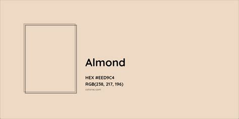 almond color codes similar colors  paints colorxscom