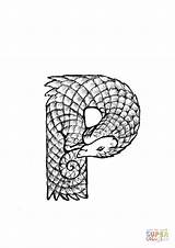 Pangolin Coloring Pages sketch template