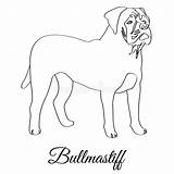 Bullmastiff Illustrationen sketch template