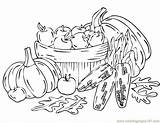 Coloring Autumn Pages Kids Harvest Popular sketch template