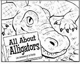 Alligator Coloring Phonics Zoo Alligators Book Scroll Fws Gov Science Worksheet Find Birthday Preschool sketch template