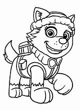 Everest Patrol Paw Coloring Pages Printable Template Print Da Colorare Disegni Cartonionline sketch template