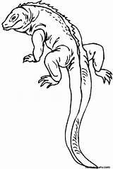 Lizard Coloring Pages Gecko Printable Reptile Print Kids Outline Color Salamander Monitor Long Colouring Sheets Drawing Tail Reptiles Realistic Template sketch template