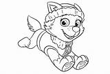 Everest Paw Patrol Coloring Print Getcolorings Printable Pages sketch template