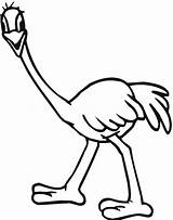 Emu Ostrich Avestruz Australien Ausmalbilder Pintar Ausmalbild Struisvogel Avestruces Tiernos Pintarcolorir Bird Sheets Countries Bestcoloringpagesforkids sketch template