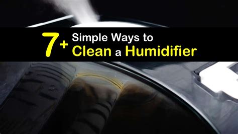 simple ways  clean  humidifier