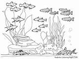 Coloring Ocean Pages Sea Underwater Floor Kids Drawing Realistic Fish Color Print Plankton Clipart Printable Habitat Library Sheet Cliparts Ruth sketch template