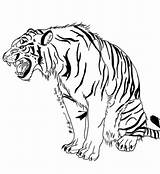Tigre Tygrys Snarling Tijger Tigri Roaring Bengala Kleurplaten Kolorowanka Supercoloring Colorier Tijgers Printen sketch template