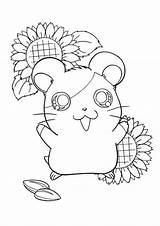 Guinea Pages Hamtaro sketch template