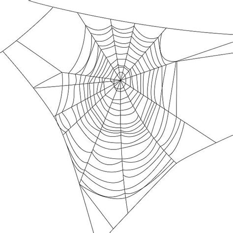 Best Spider Web Illustrations Royalty Free Vector Graphics And Clip Art