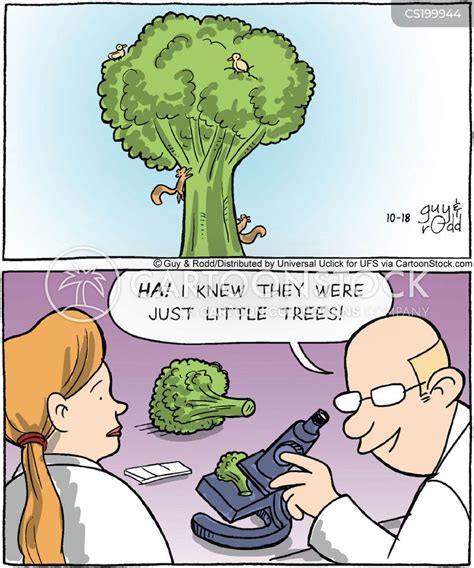 scientific theory cartoons  comics funny pictures  cartoonstock