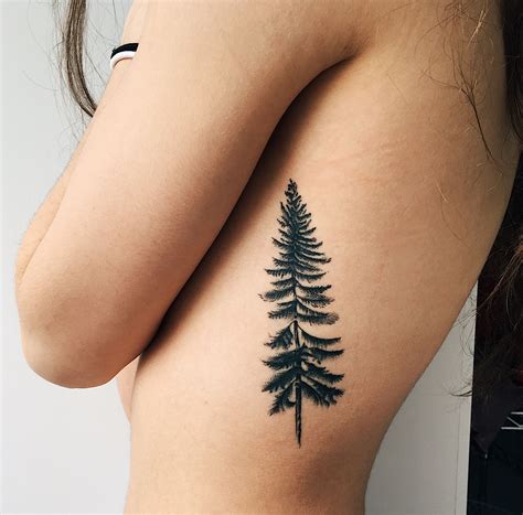 Simple Pine Tree Tattoo Simple Tree Tattoo Tree Tattoo Back Tree