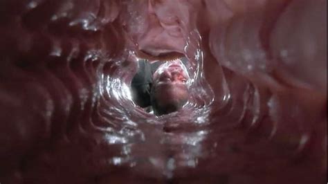 internal view of anal sex cumception