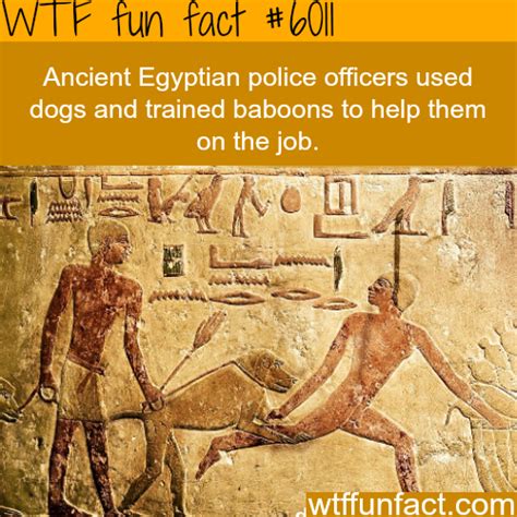 ancient egypt strange facts